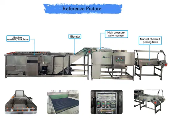 Fabricants de machines à laver les légumes Équipement de transformation des légumes Système de cueillette de nettoyage des pommes de terre